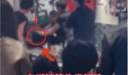 西渡镇事件爆料视频,视频爆料揭示惊人真相